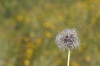 /album/foto-adriano/58a0908-copia-jpg/